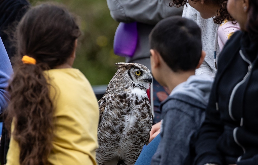 Oasis Wildlife Fuerteventura tickets