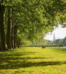Hyde Park Corner
