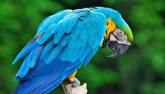 Central Florida Zoo & Botanical Gardens