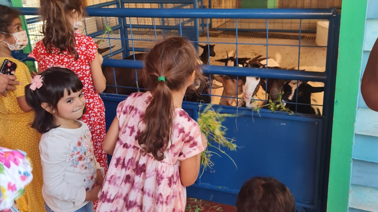 dubai safari park Granja para niños