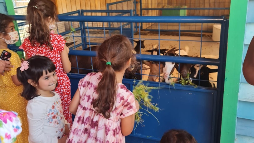 Dubai Safari Park Kids Farm