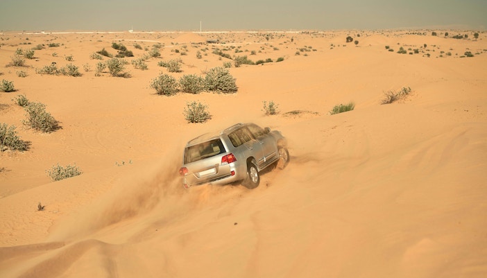 Dubai Desert Safari: Adventure