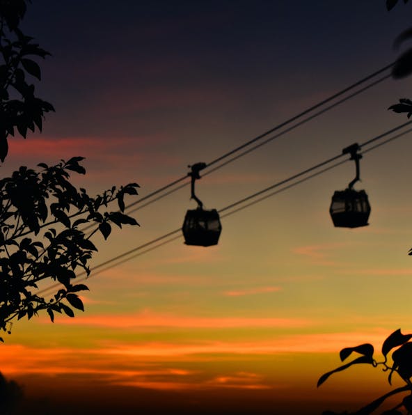 More than just cable cars: Discover Ngong Ping 360’s cable car and other hidden gems!