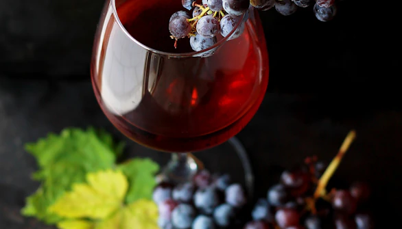 Loire Valley Wineries
