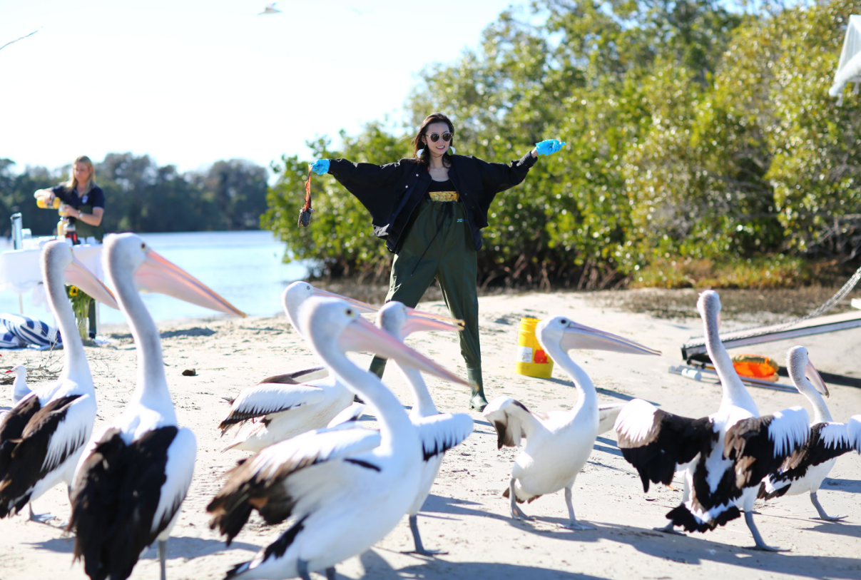 Skydive Toronto Tickets