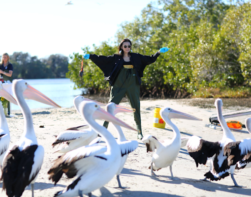 Skydive Toronto Tickets