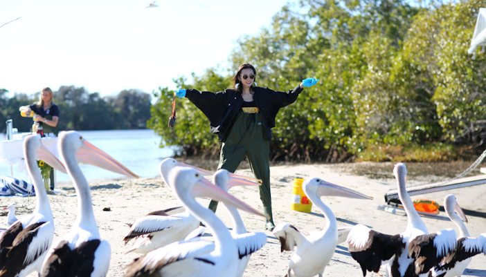 Skydive Chicago Tickets