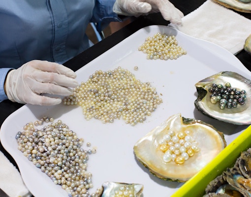 Yas Waterworld Abu Dhabi Tickets