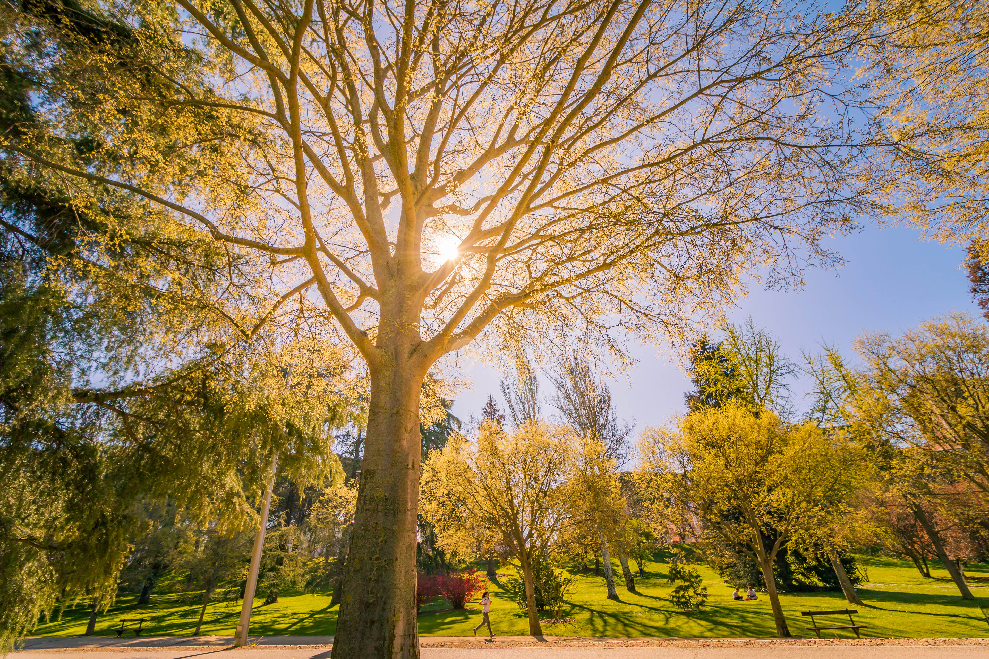 Parks in Madrid - Parque del Oeste