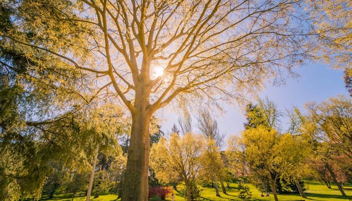 Parks in Madrid - Parque del Oeste