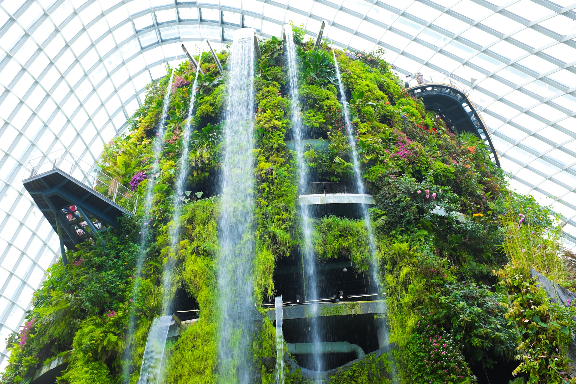 Gardens by the Bay - Cloud Forest