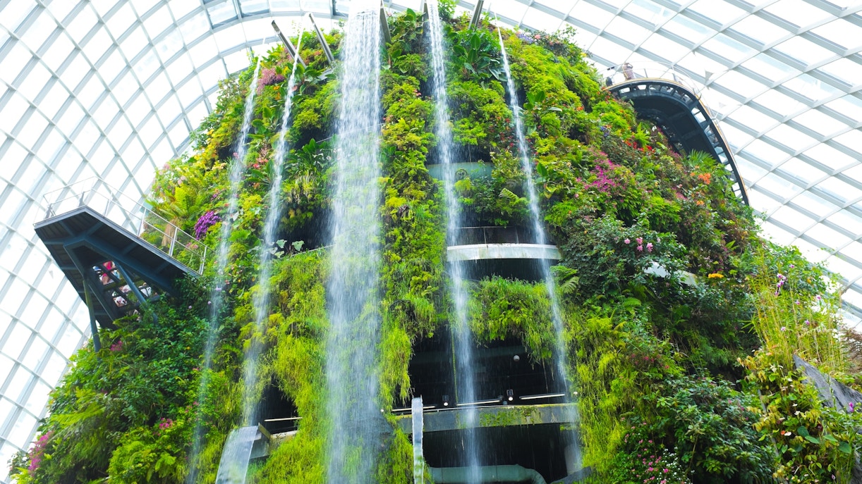 Gardens by the Bay - Cloud Forest