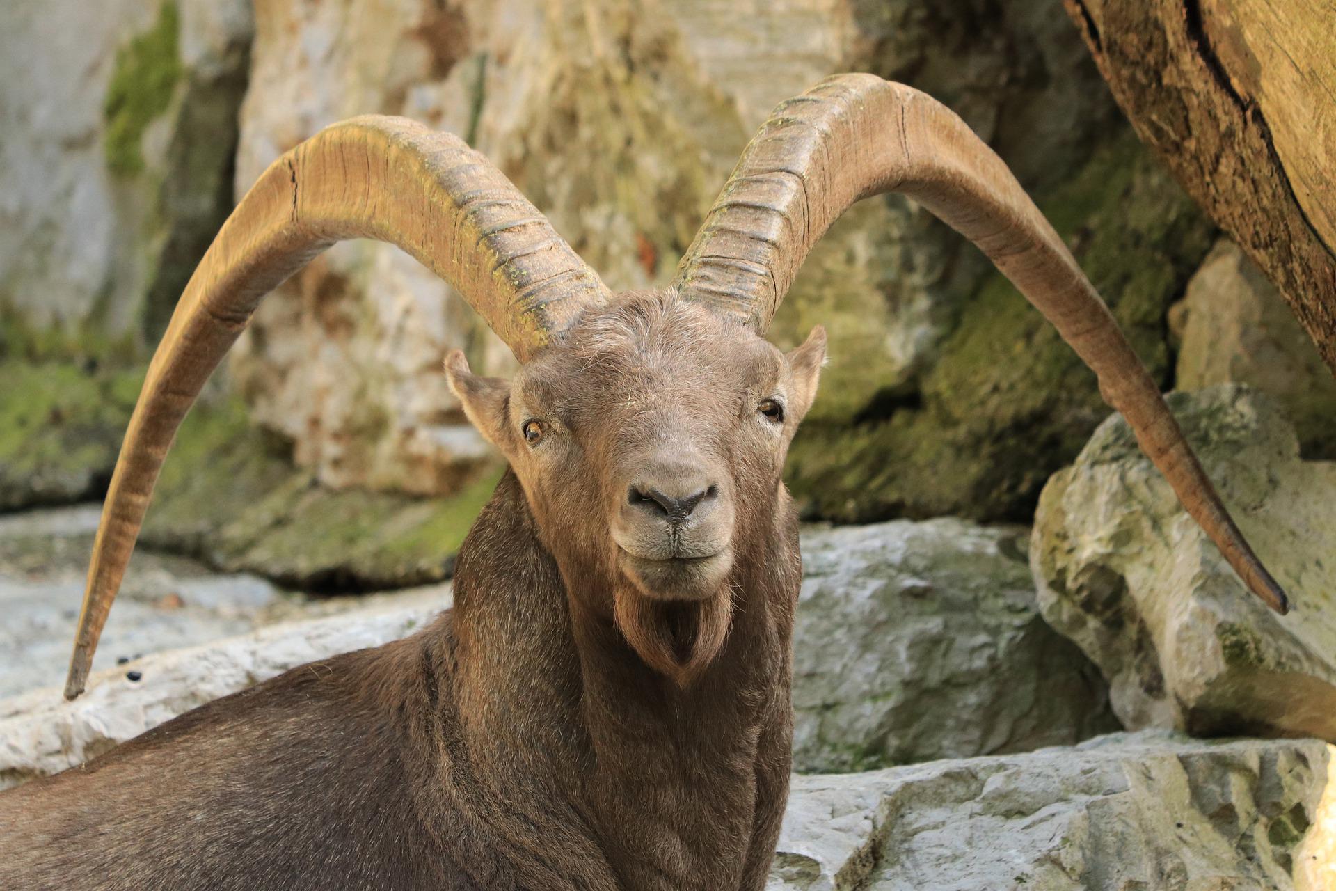 Salzburg Hop-On Hop-Off