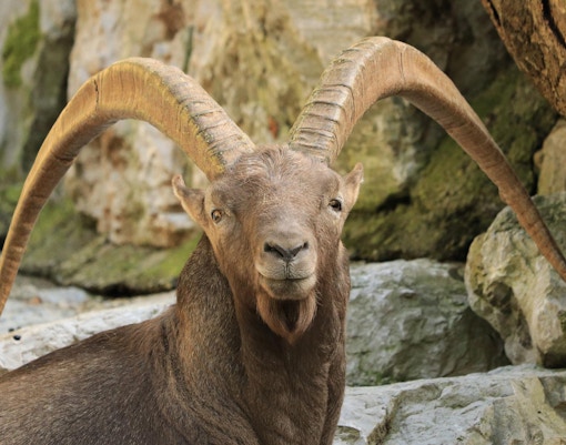 Salzburgo Hop-On Hop-Off