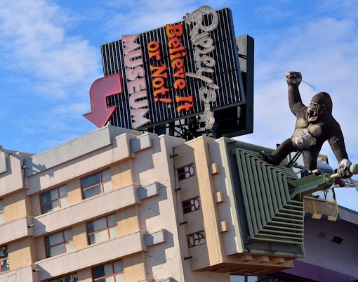 Ripleys Believe It or Not Museum in Amsterdam