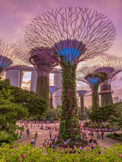 Gardens by the Bay Supertree Grove at sunset, Singapore, with visitors exploring the area.