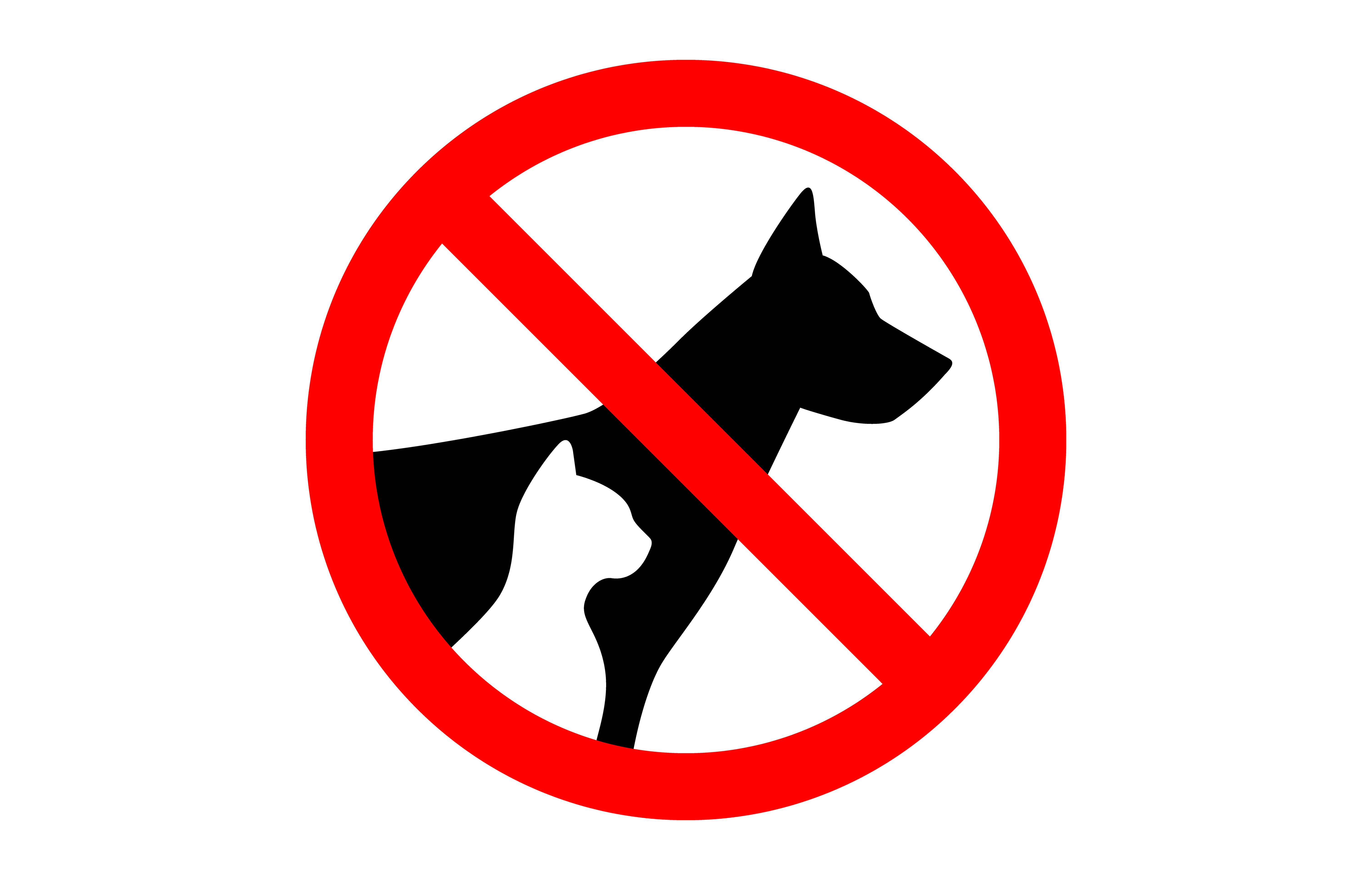 Entopia by Penang Butterfly Farm - Rules