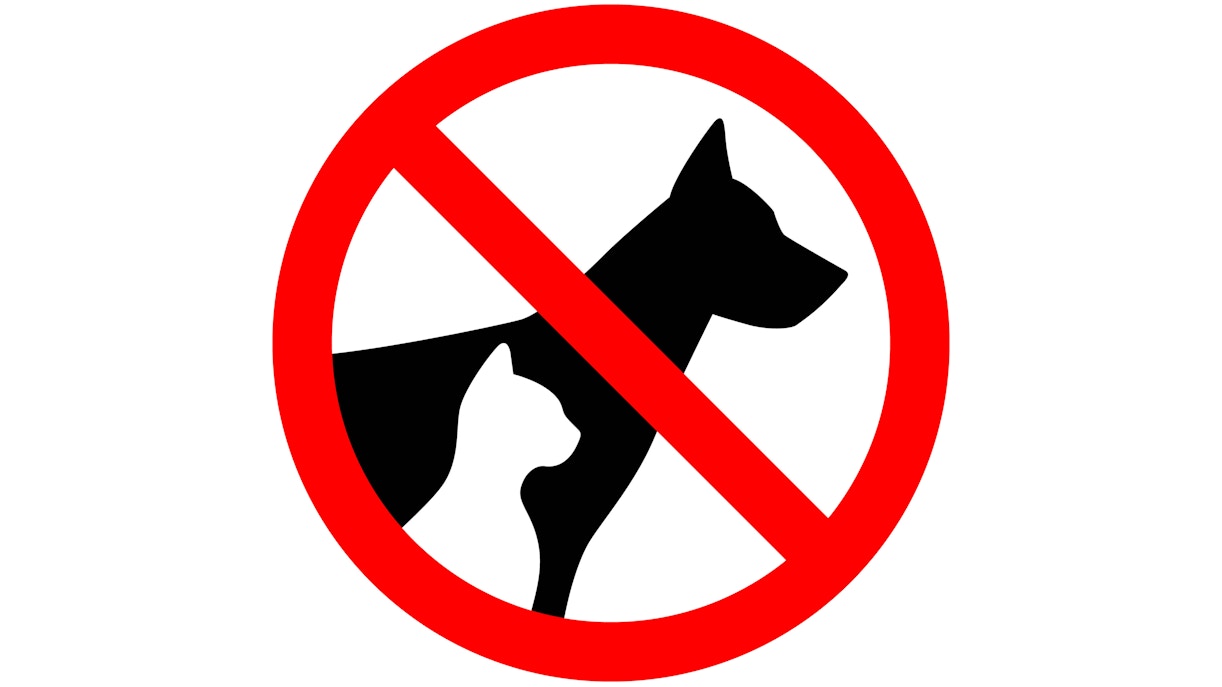 Entopia na Penang Butterfly Farm: regras do local