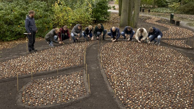 Keukenhof Amsterdam 2023