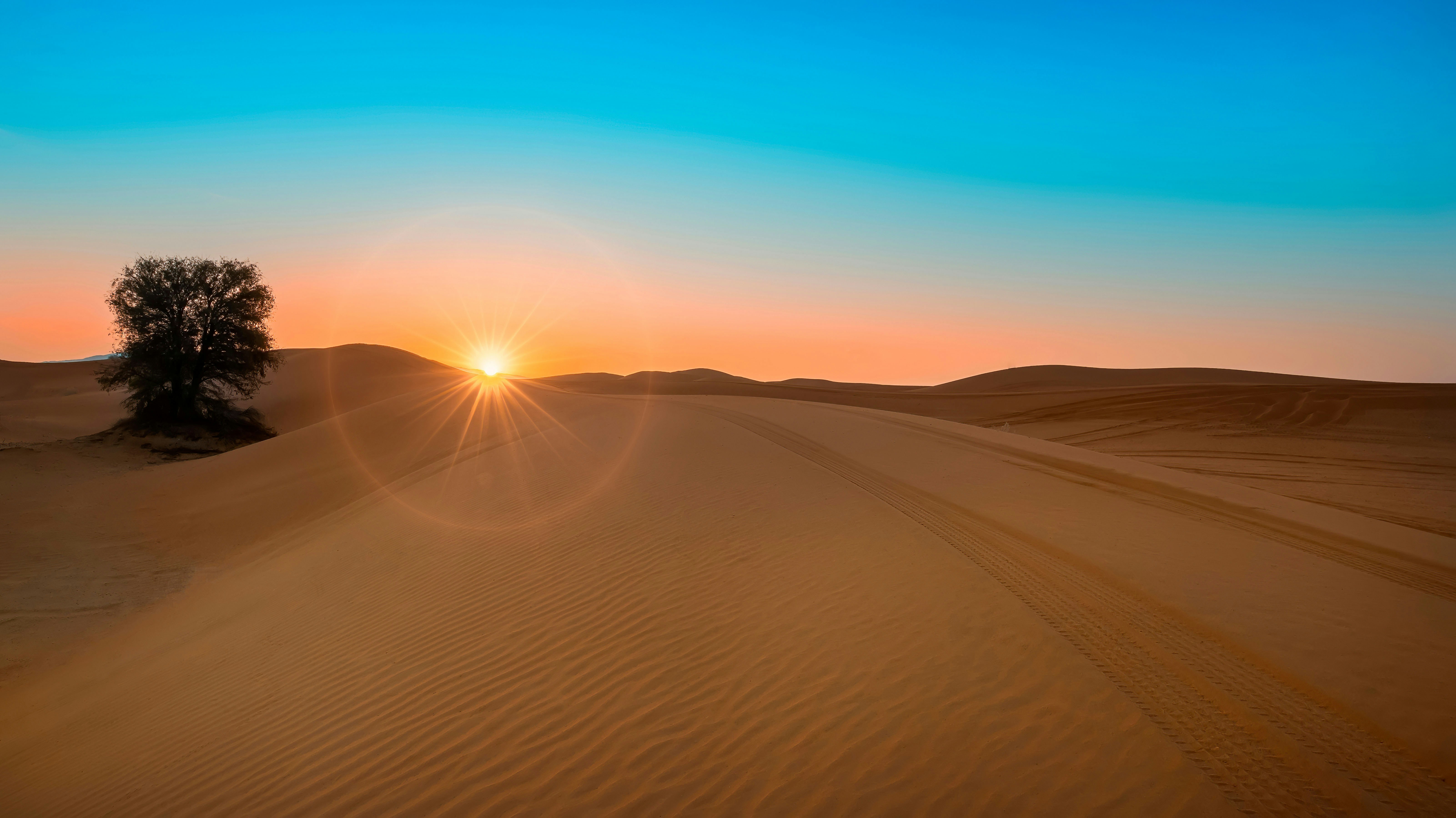 Sunset over sand dunes with tire tracks in Dubai desert.