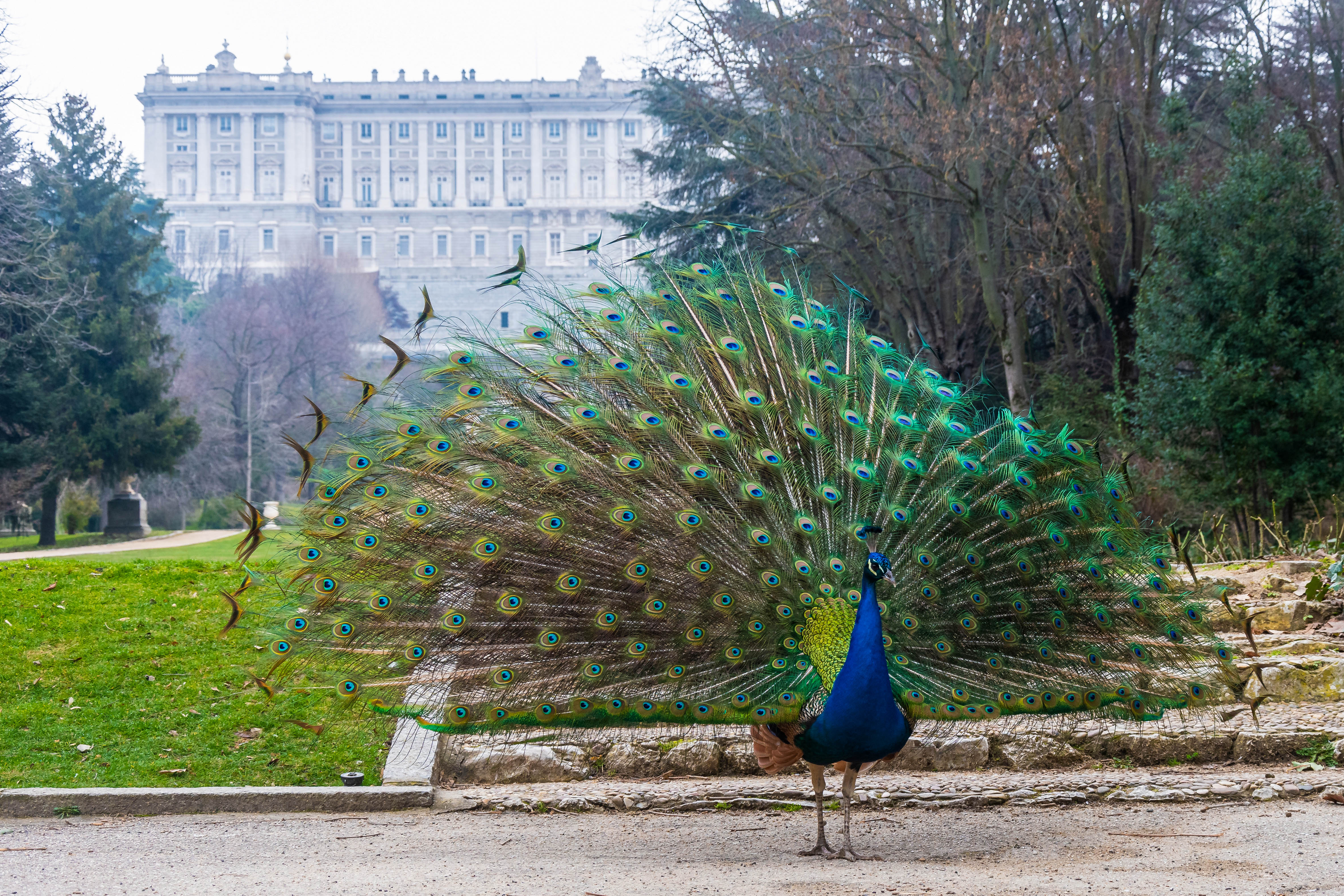 Parks in Madrid - Campo del Moro