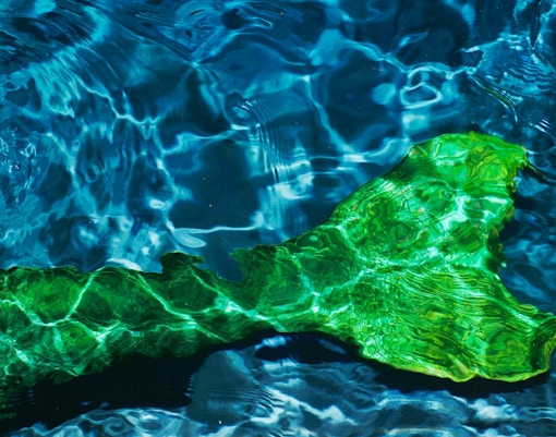 Acquario Parigi biglietti