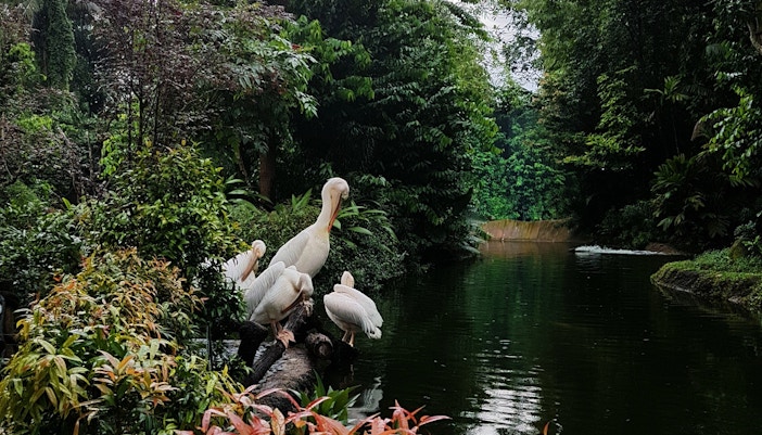 River Wonders Singapore Tickets