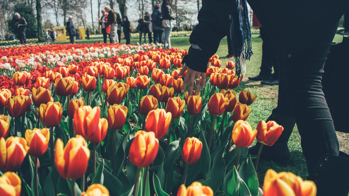 keukenhof location