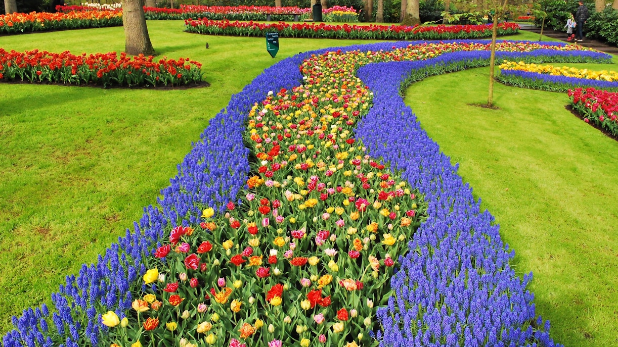keukenhof