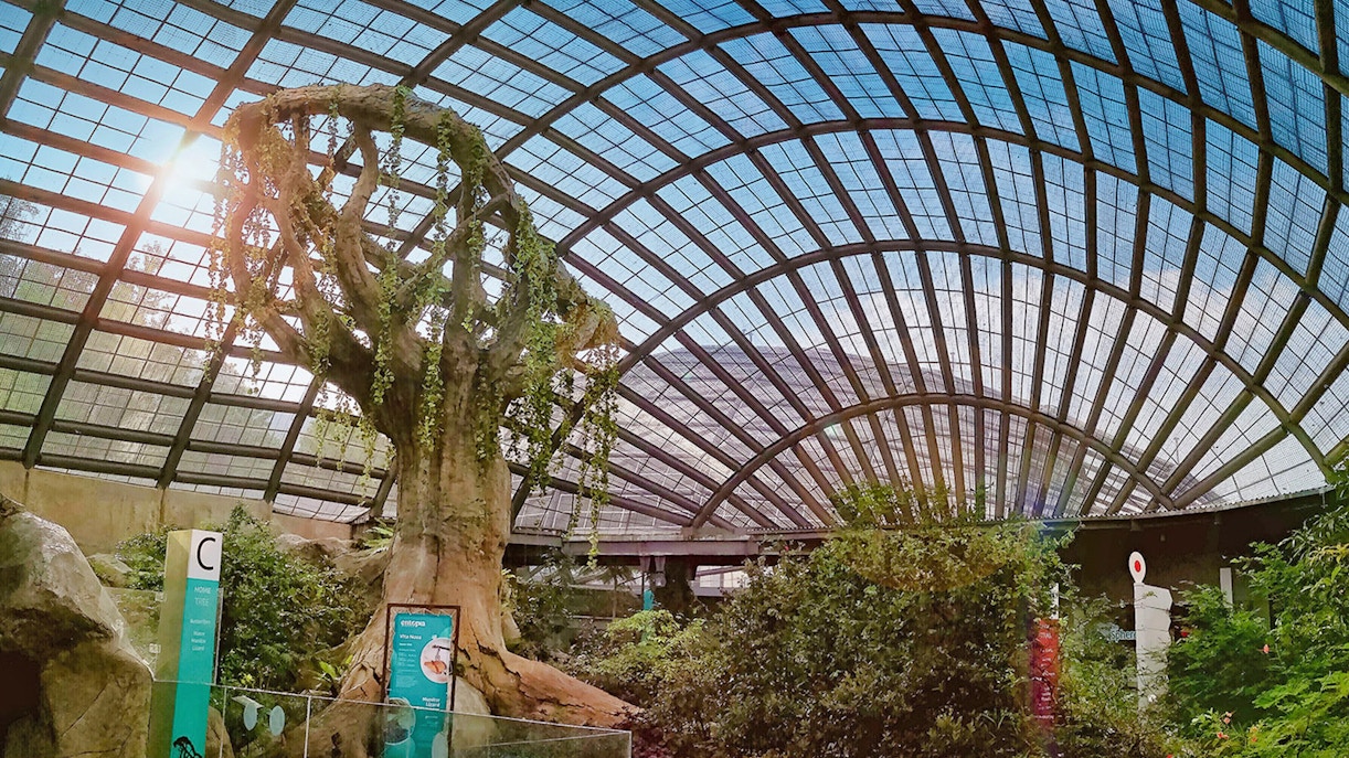 Entopia na Penang Butterfly Farm: por que visitar o Entopia Penang?