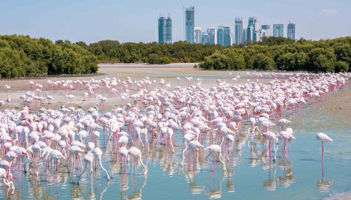 Best Places to Visit in Dubai - Ras Al Khor Wildlife Sanctuary