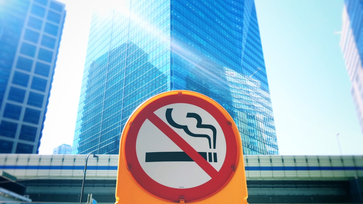 Garden Glow Plan Your Visit