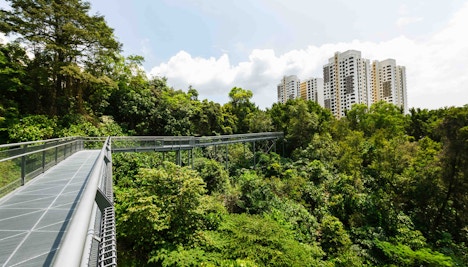 Singapore in Winter - Southern Ridges