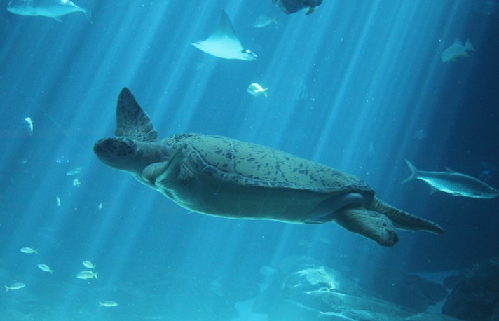 Aquaria KLCC