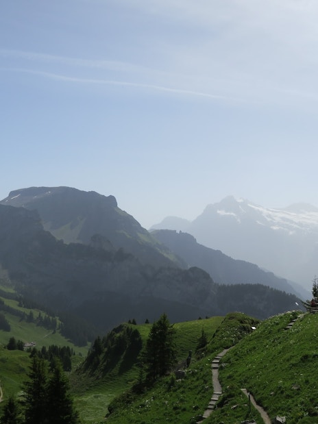 Mountain path with hikers on Schynige Platte, Switzerland, overlooking alpine peaks and green valleys.