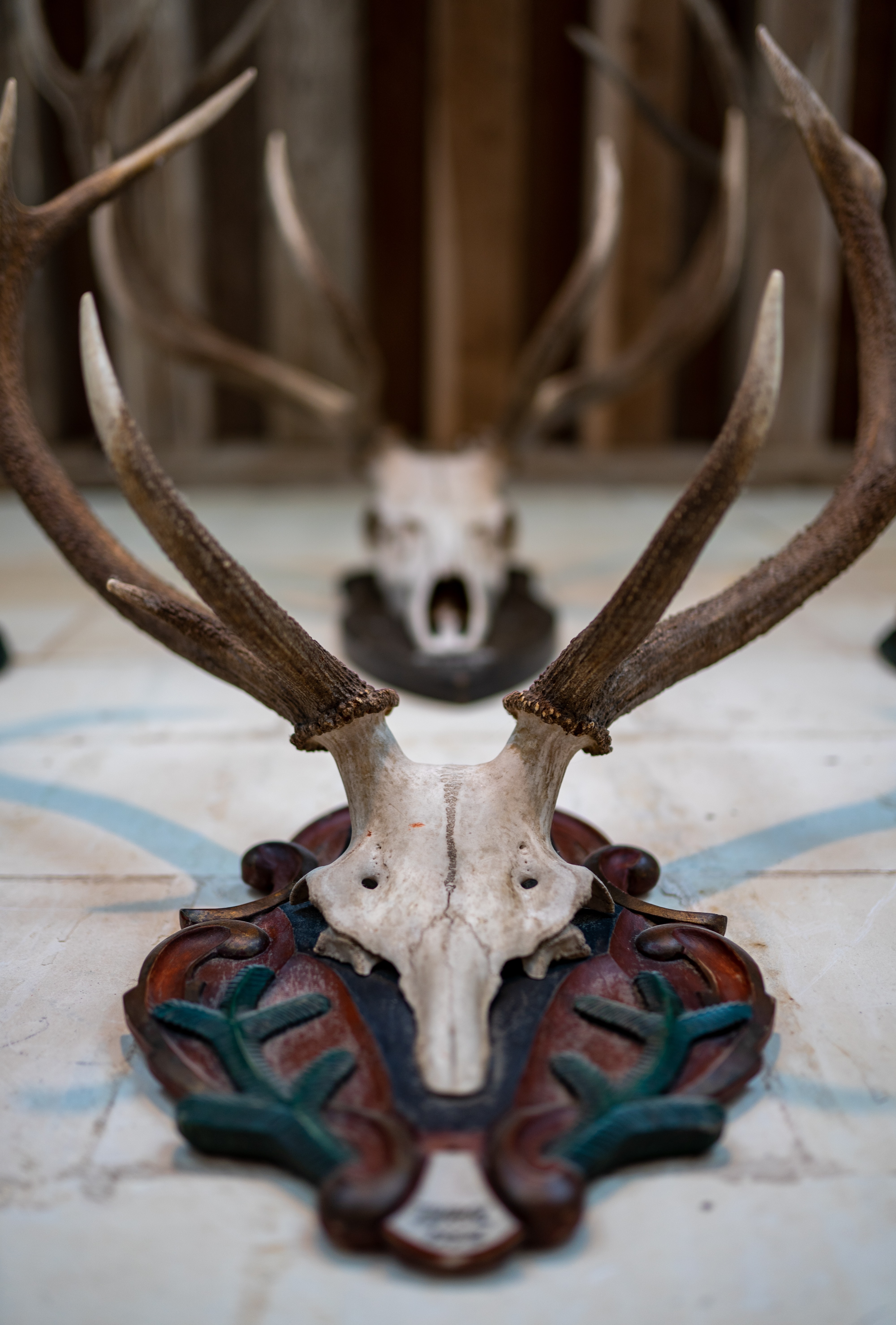 Castillo de Chambord tiendas