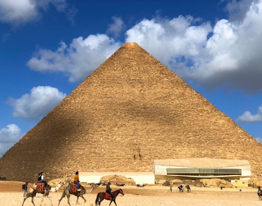 camel safari