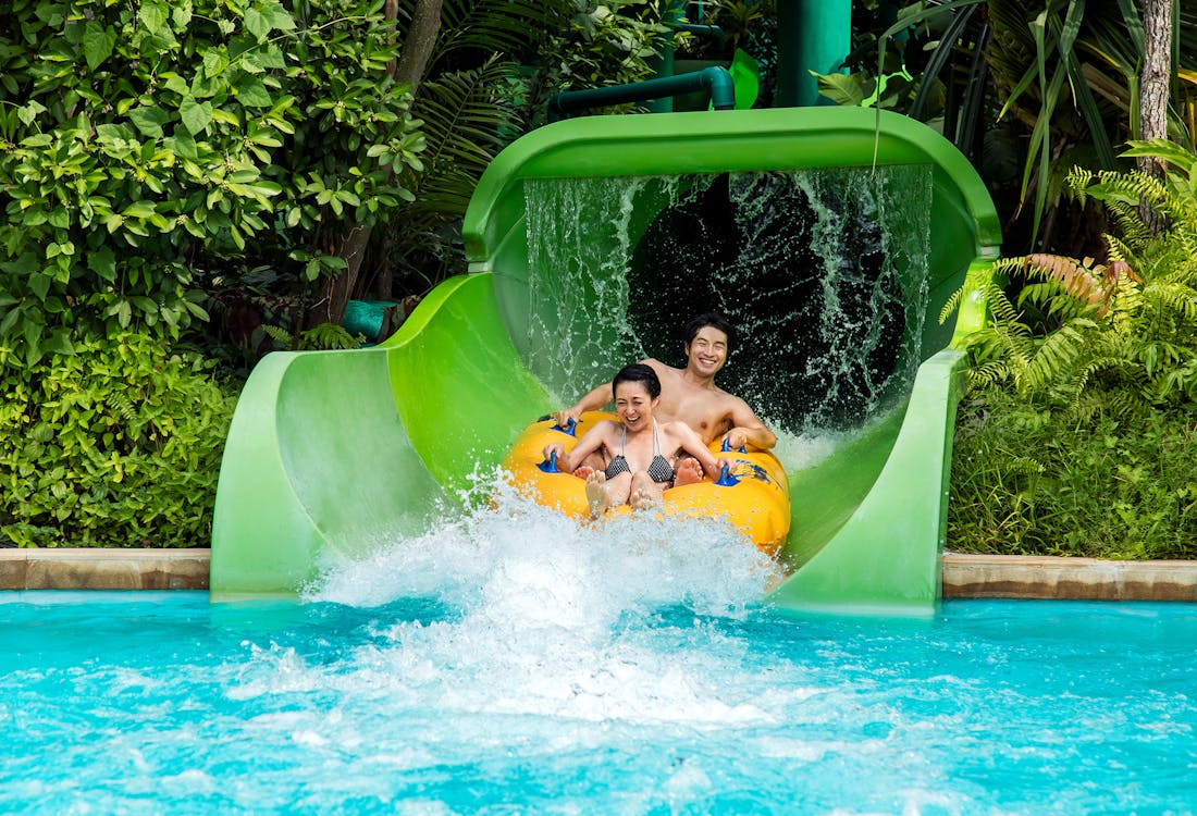 Adventure Cove Waterpark