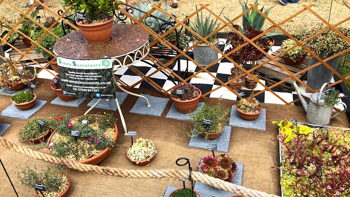 hampton court flower show