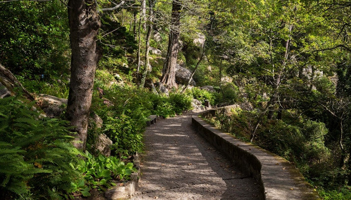 Castelo dos Mouros Tickets