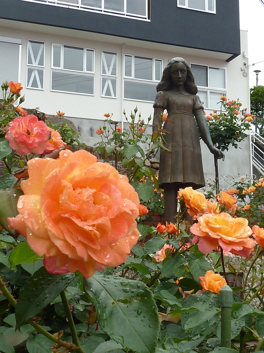 amsterdam canal cruises