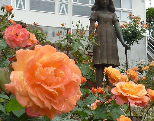 paseo en barco Ámsterdam