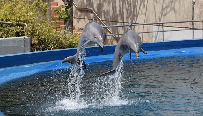 Madri em abril - Zoo Aquarium de Madri