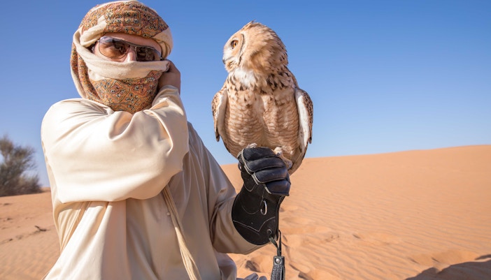 Dubai Desert Safari: Adventure