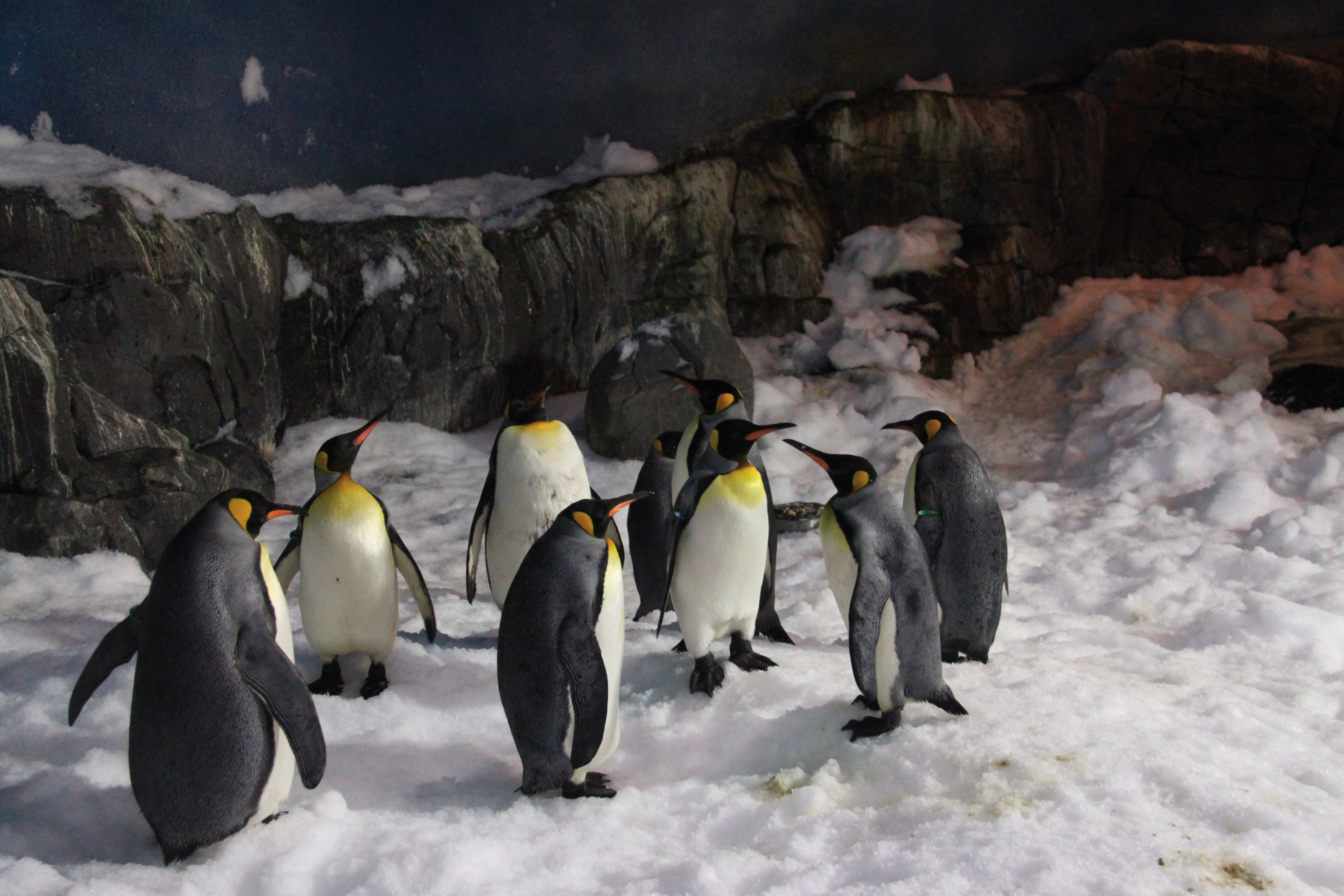 Monuments in Madrid - Faunia