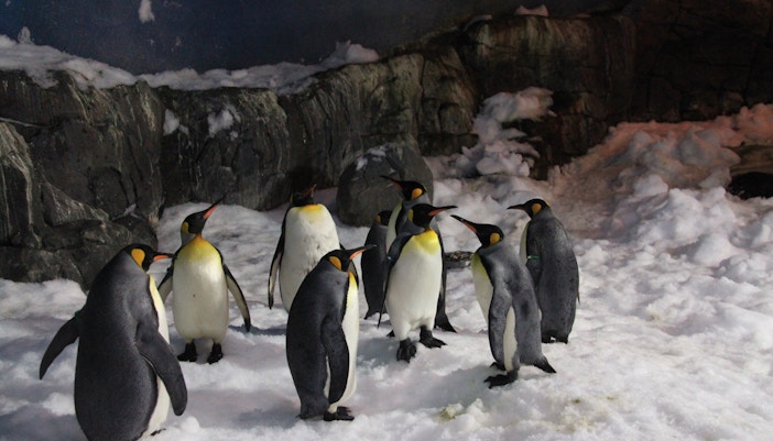 Monuments in Madrid - Faunia