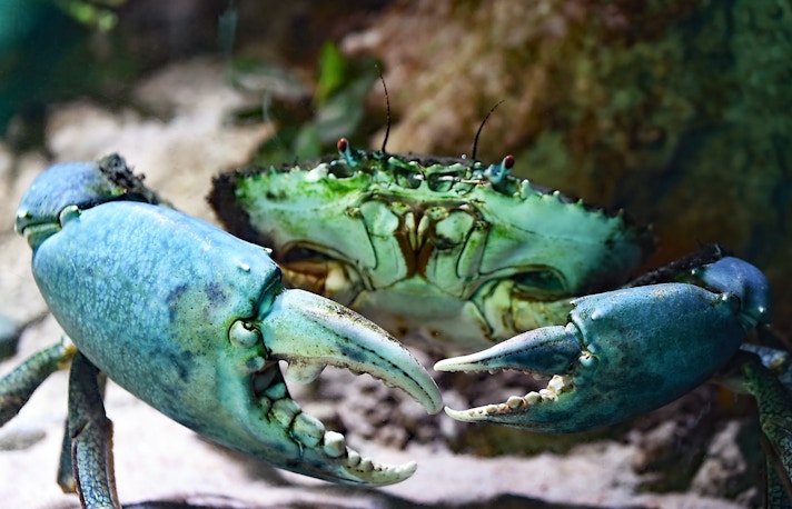 aquaria klcc opening hours