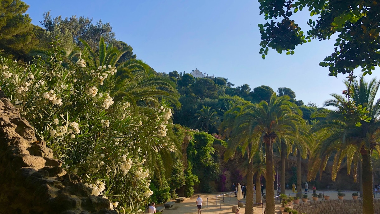Nature & Biodiversity-Park Guell