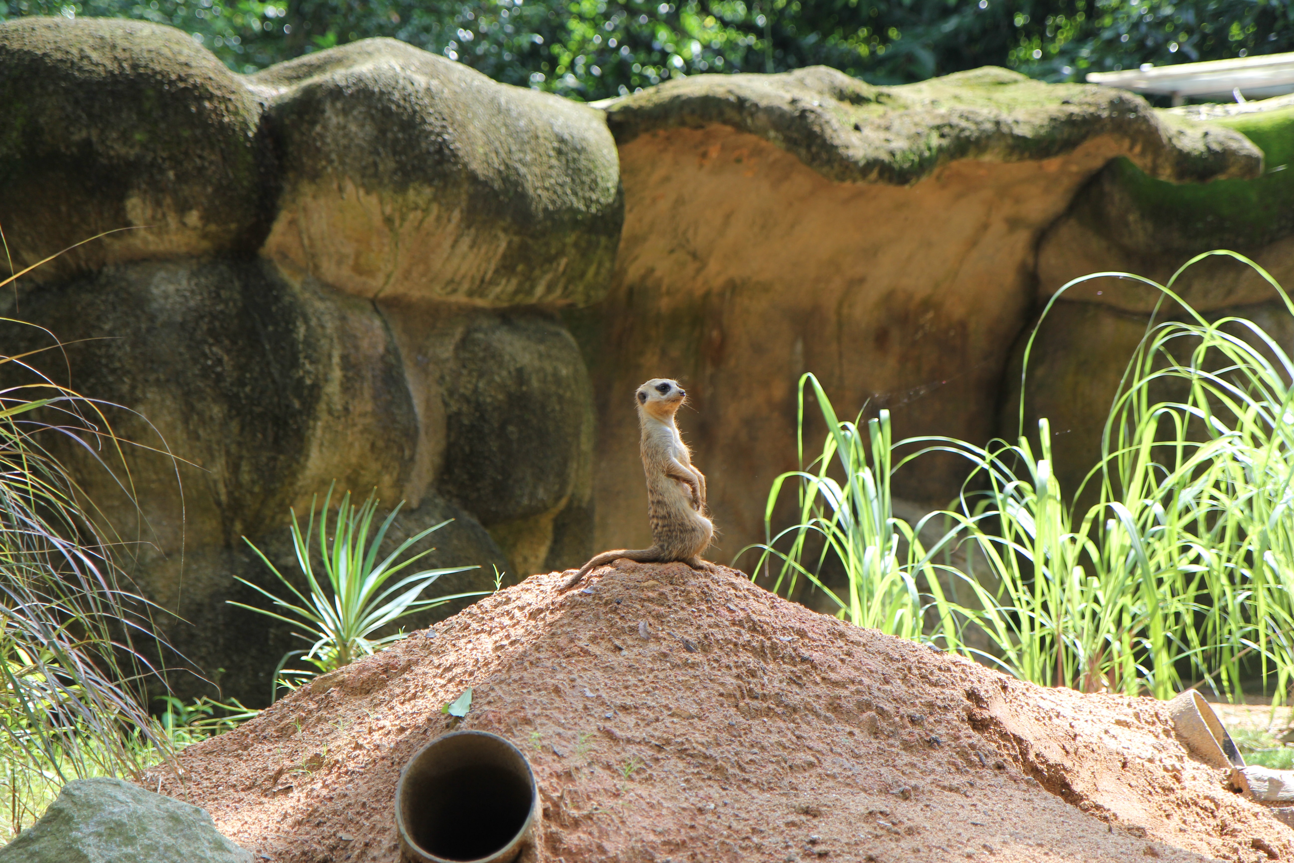 Great Rift Valley of Ethiopia