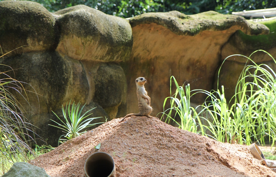Great Rift Valley of Ethiopia